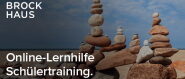 Brockhaus - Schülertraining